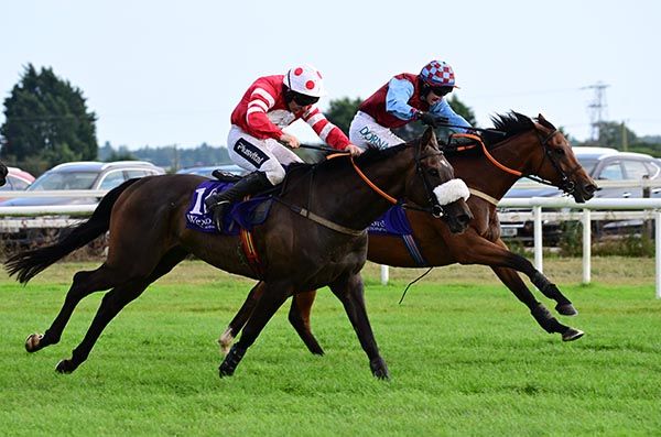 Sekakarma (far side) just prevails over Tantrum Boy