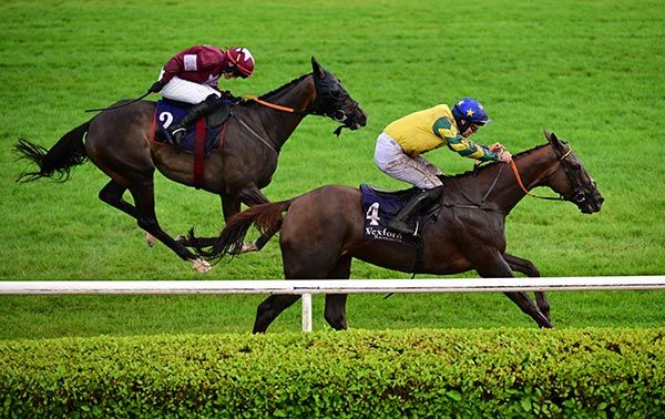 Femme Magnifique and Danny Gilligan (nearest) 