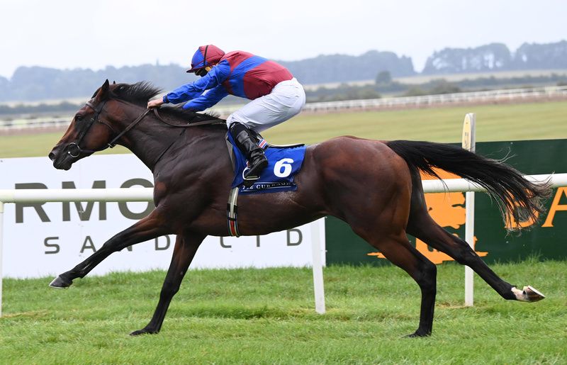 Darkness Falls and Ryan Moore win for trainer Aidan O Brien 