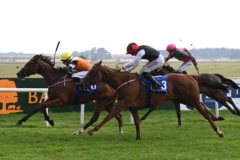 Exchange Student and Julian Pietropaolo yellow cap win for trainer Fozzy Stack 