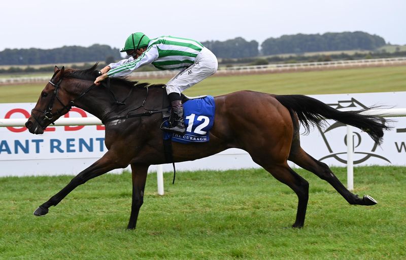  Miss Scott and Christophe Soumillon 
