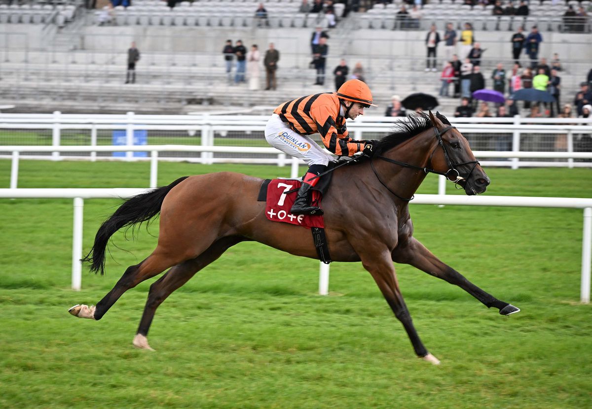 Loughrea winning the Irish Cambridgeshire in August