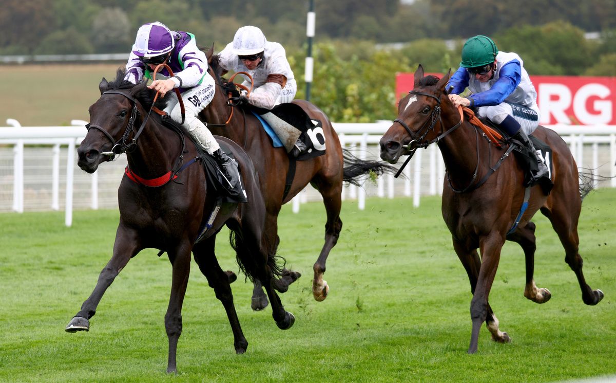 Silverella and David Probert winning                                                           