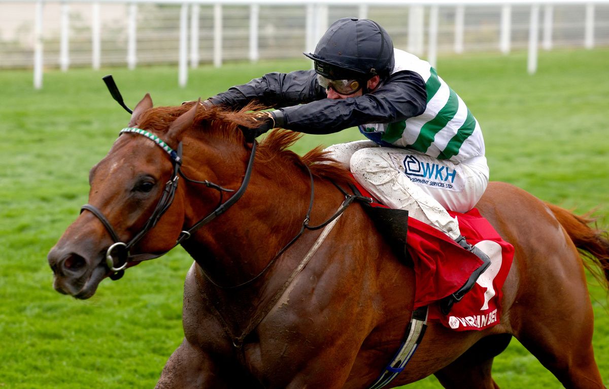 Zavateri and Charles Bishop (white and white) winning The Virgin Bet Celebration Mile  Stakes                                                                                                                              Goodwood 28.8.26      Healy Racing