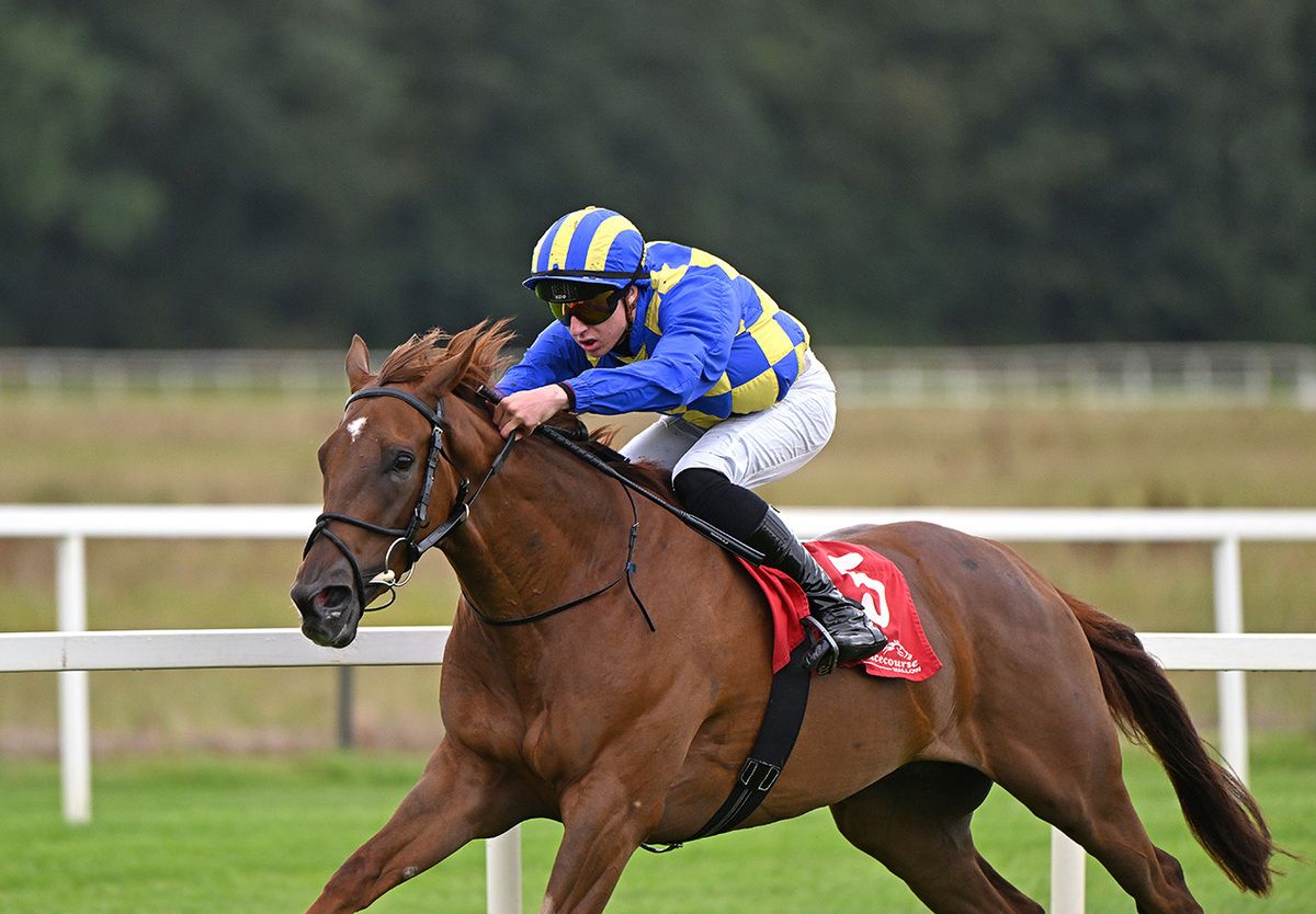 Sunrise Angel and Jimmy Dalton win for owners Men Of Forty Eight Syndicate and trainer Andrew Slattery 