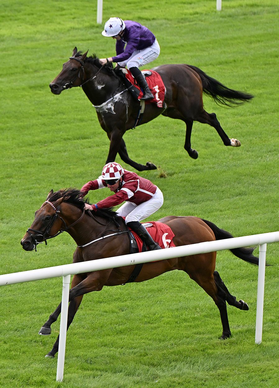 Bamako Beach and Seamie Heffernan win for owners Bamako Beach Partnership and trainer Michael O Callaghan