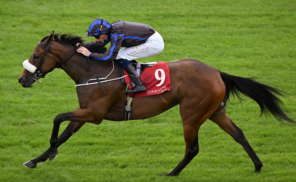 Magny Cours and Ben Coen win for owners Ecurie Ama Zing Team and trainer Danny McLoughlin 