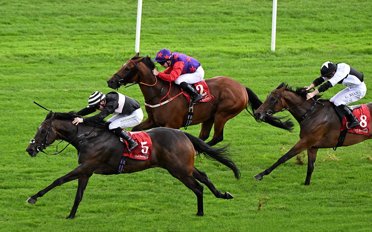 Likedbymike and Colin Keane win for owners Michael Byrne  Jerry Murphy and trainer Michael Byrne 