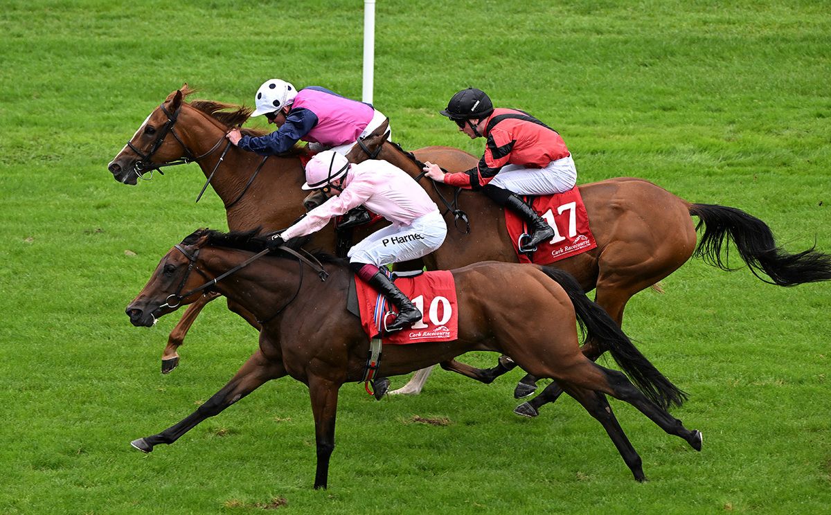 Feel Happy and Paddy Harnett nearest win for owner Coolmore and trainer Donnacha O Brien