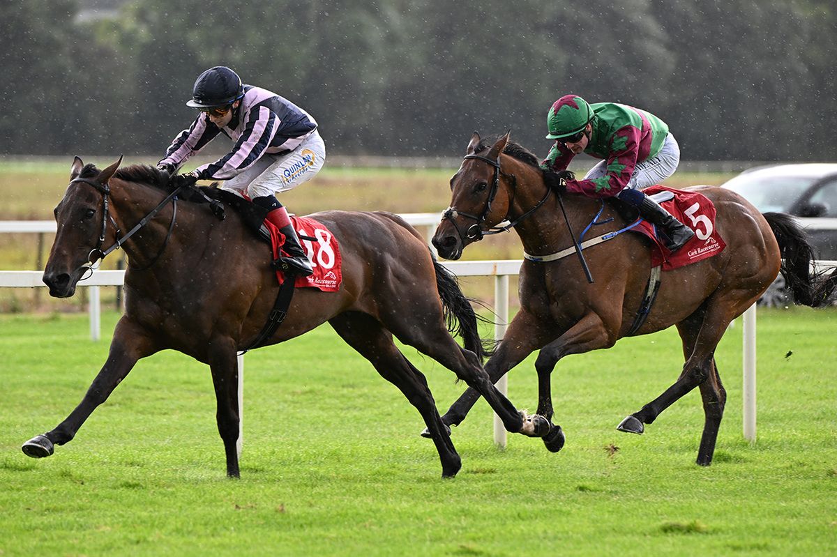 Lauderdale King and Andy Slattery