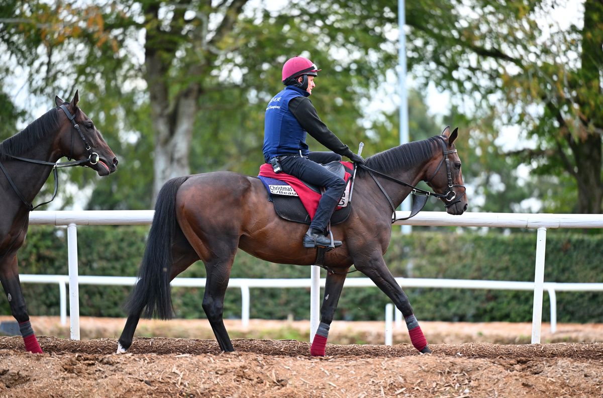 Christmas Day and work-rider David Flannery at Ballydoyle