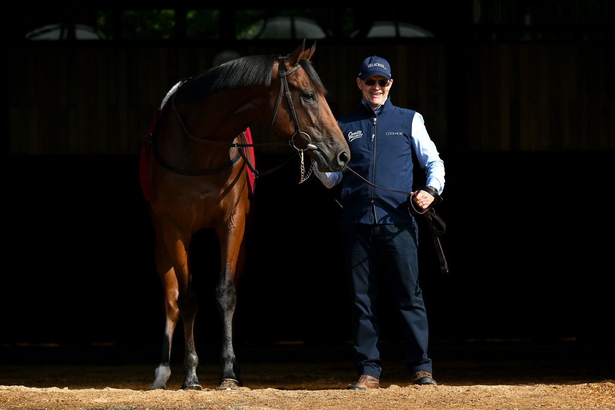 Constitution River with trainer Aidan O Brien pictured for Irish Champions Weekend Media Morning 