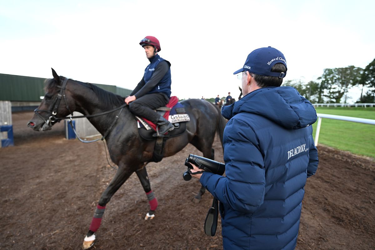 Gstaad and Pa Murphy pictured for Irish Champions Weekend Media Morning with trainer Aidan O Brien 