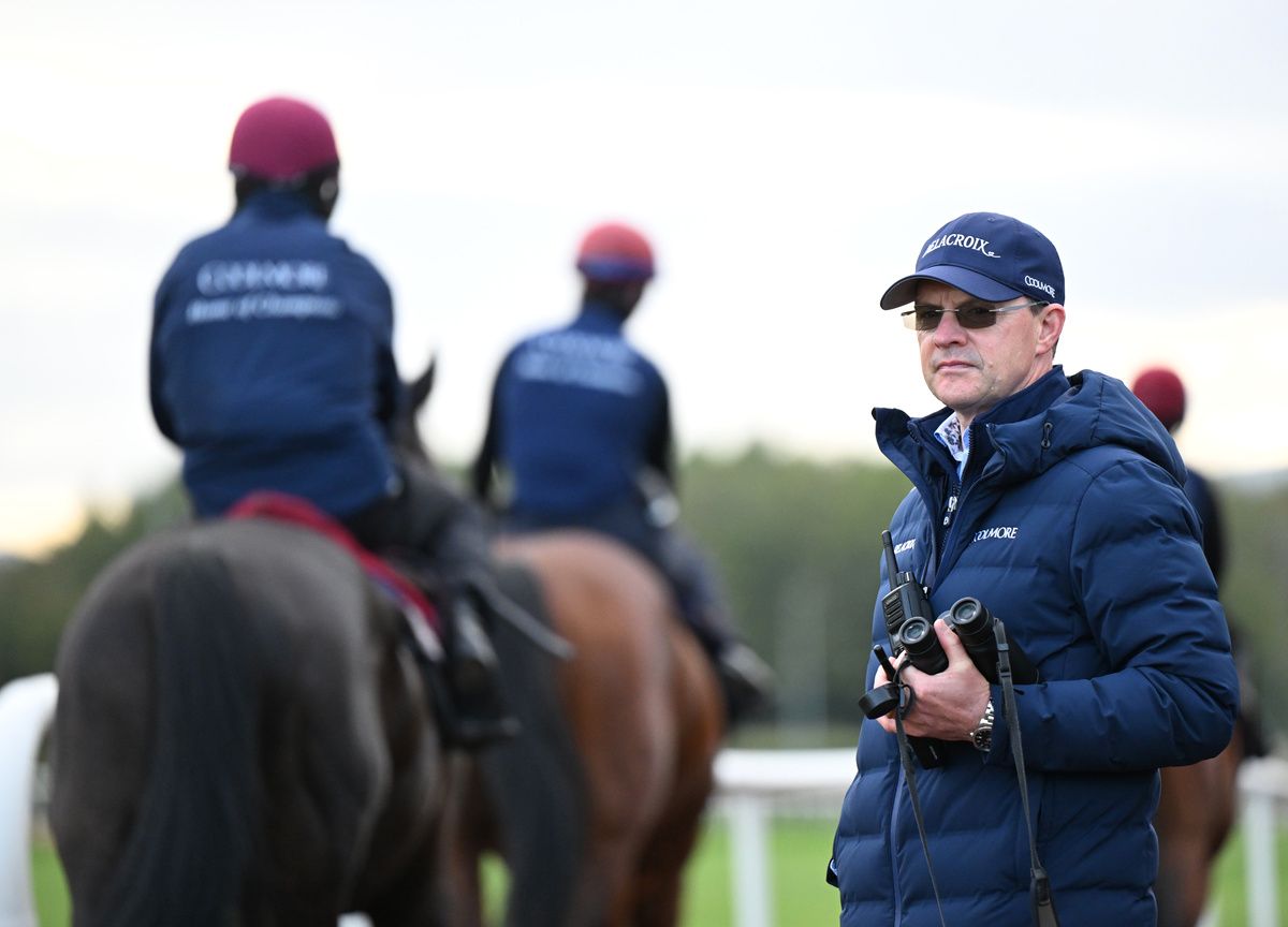 Aidan O'Brien has won the Diamond Stakes eight times