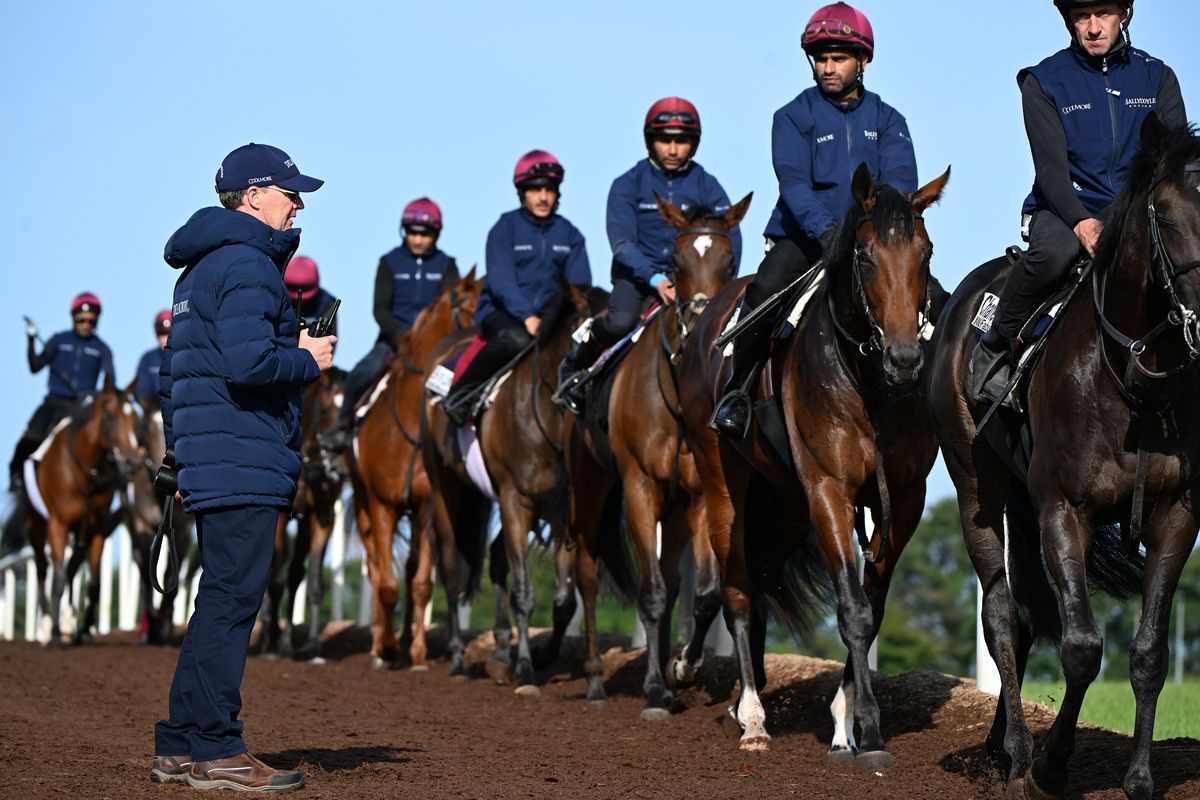 Aidan O'Brien views his string at Ballydoyle