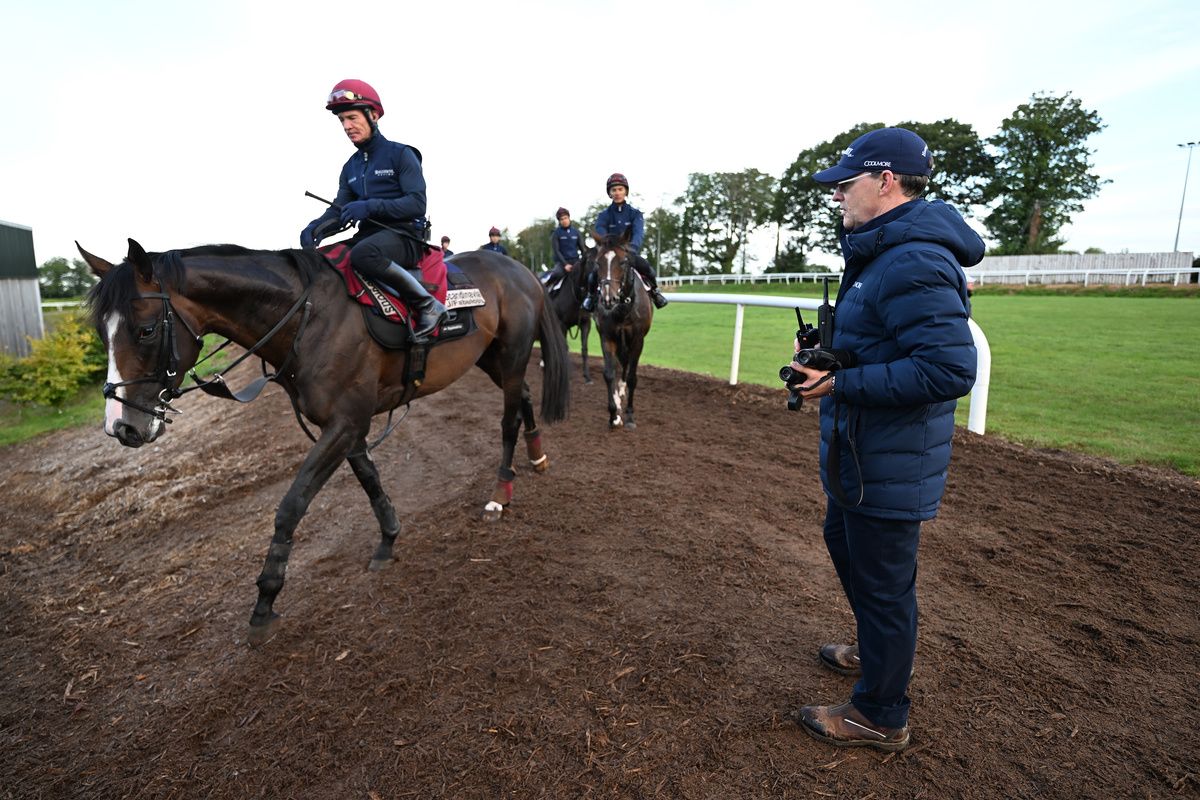 Scandanavia and Dean Gallagher pictured for Irish Champions Weekend Media Morning with trainer Aidan O Brien 