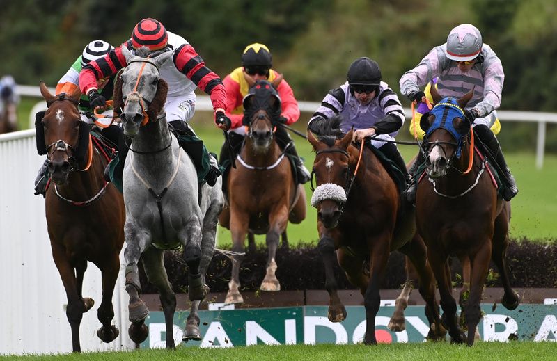 The nose-banded Bruant arrives with his challenge at Downpatrick