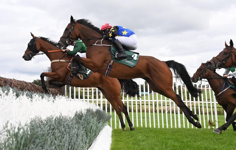 Killeemore Lad and Philip Donovan in winning form