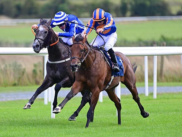 South Dakota and Wayne Lordan hold the advantage on the way to winning at Roscommon this evening