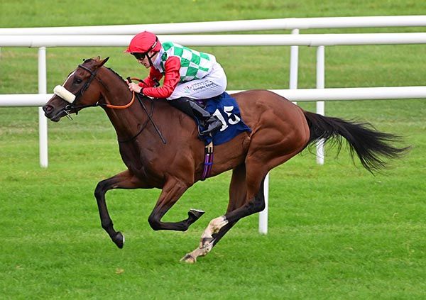 Miss Romagna and Billy Lee ran out easy winners at Roscommon this evening