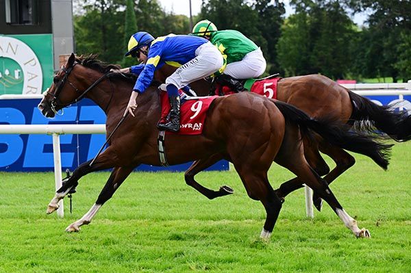 Starborn Legend (Joey Sheridan) with Keogie (far side)