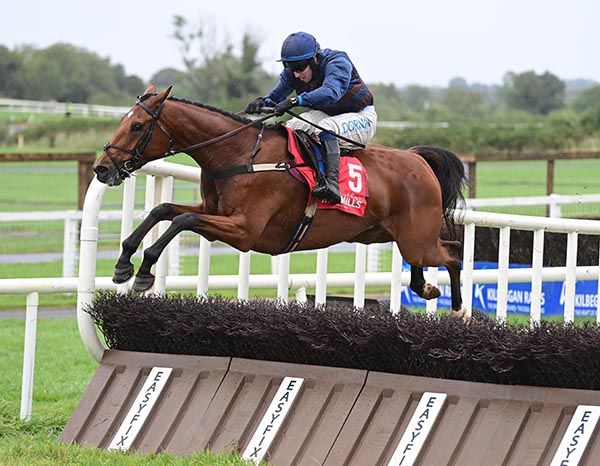 Splendid Fellow and Darragh O'Keeffe 
