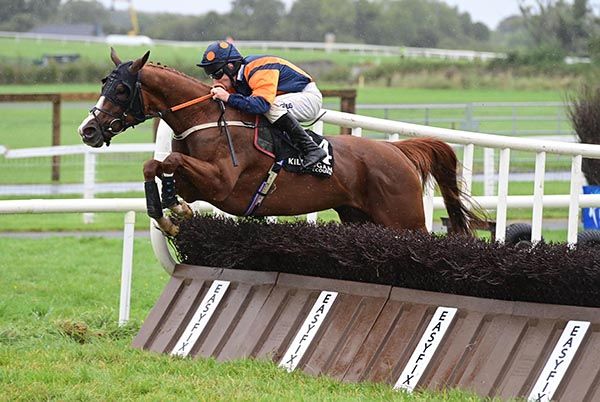 Chemdawg and Phillip Enright