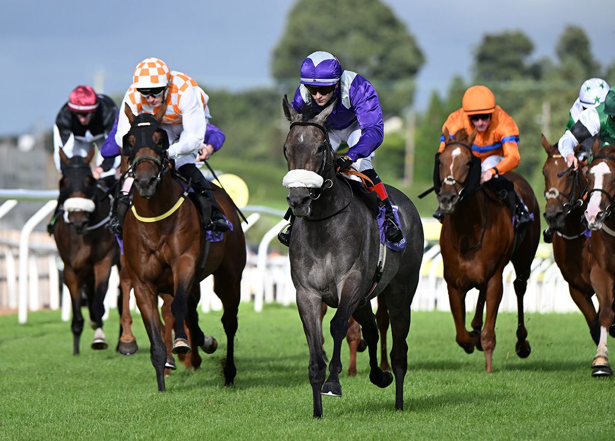 Grey filly Romance in charge near the line