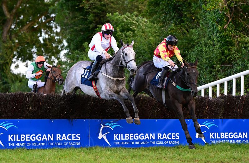 Soldante (right) jumps past Butter Fingers at the last
