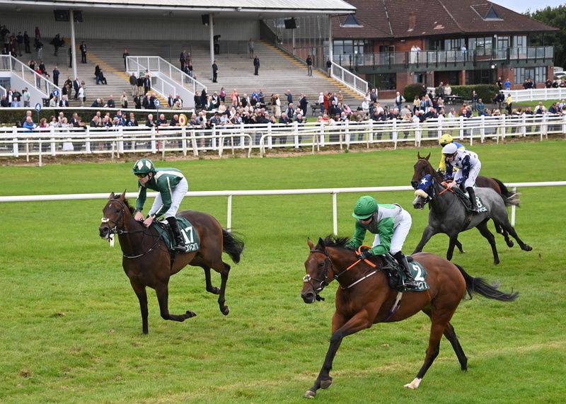 Irish Rumour and Orla Tynan win for trainer Jenny Lynch 