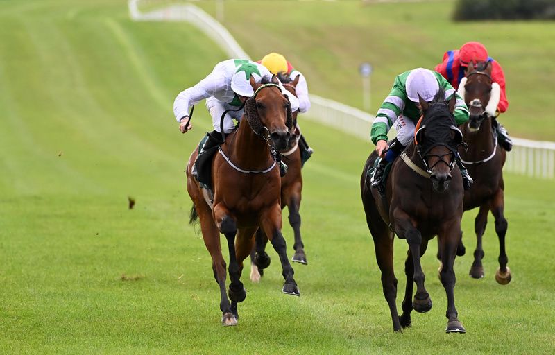  Moltophino and Chris Hayes right win for trainer John Kinsella 