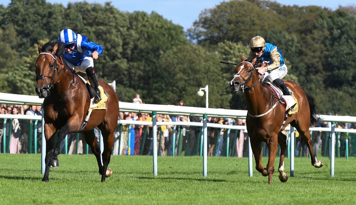 Almeraq will make his return at Ascot on Champions Day 