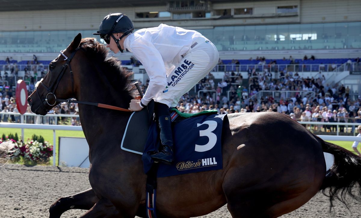Constitution Hill and Billy Loughnane on his way to post in The William Hill September Stakes