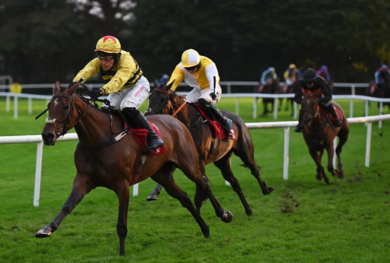 Brickfield Belle and John Gleeson