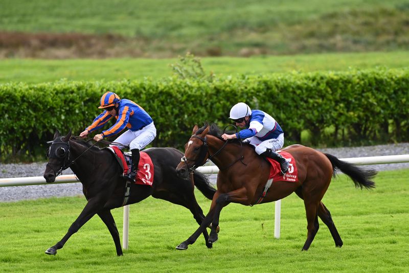 Leadlight and Declan McDonogh swoop on the outside to win the opener at Galway