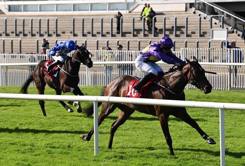 Aquilla Star is a first winner for owner Kevin Doyle