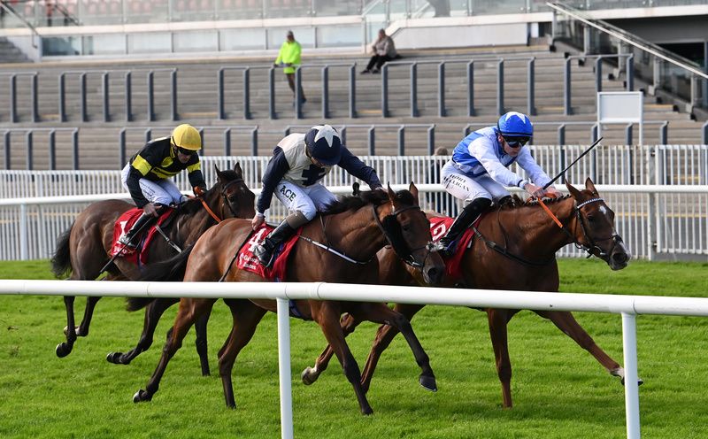 Mary Doll and Rory Mulligan (blue cap) win for trainer John O'Donoghue at Galway this evening