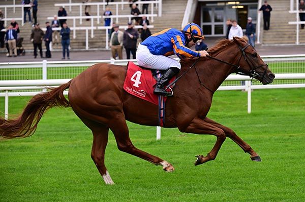  Marco Polo  Wayne Lordan win the Coolmore Stud Gleneagles Irish EBF Maiden 