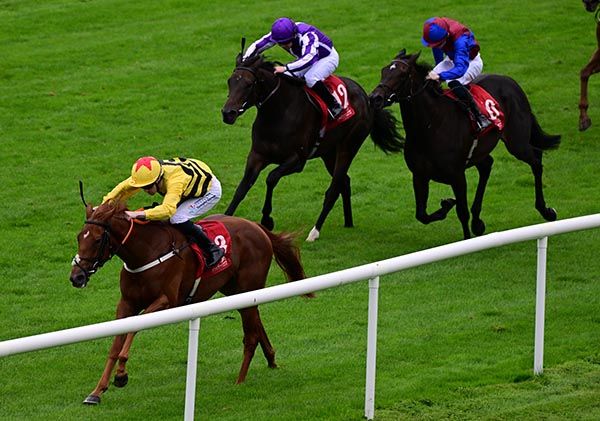 Alpine Wedding  Billy Lee win the Irish Stallion Farms EBF Fillies Maiden 