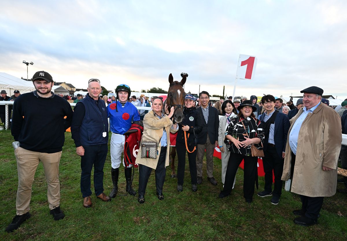 Connections of the Sundowners Syndicate's Hygge