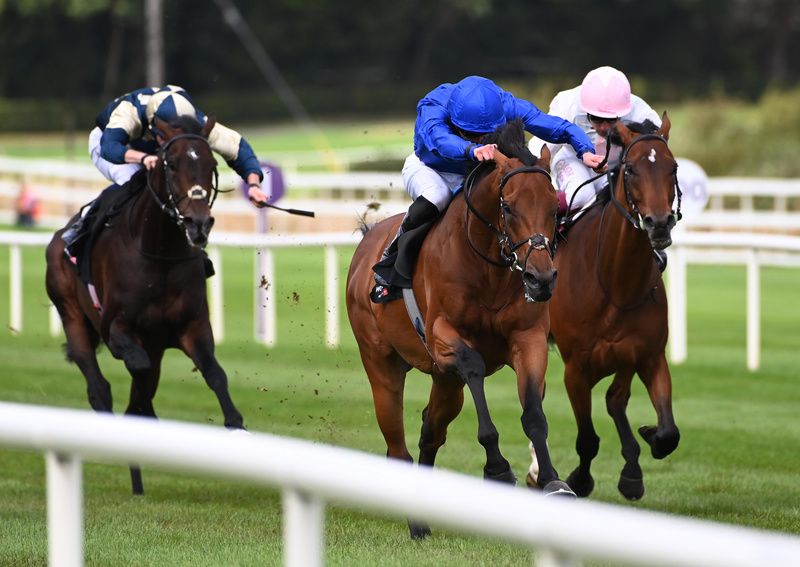 Arabian Crown heads for home
