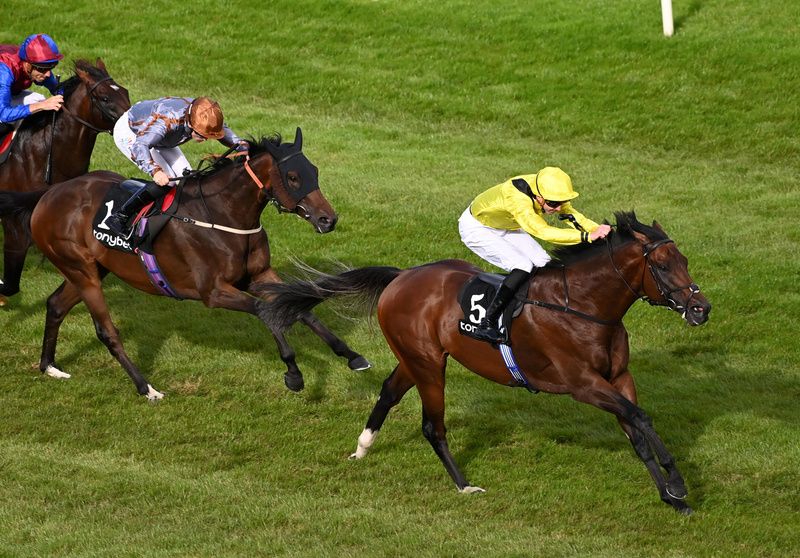 Quddwah rolls home in the Solonoway Stakes