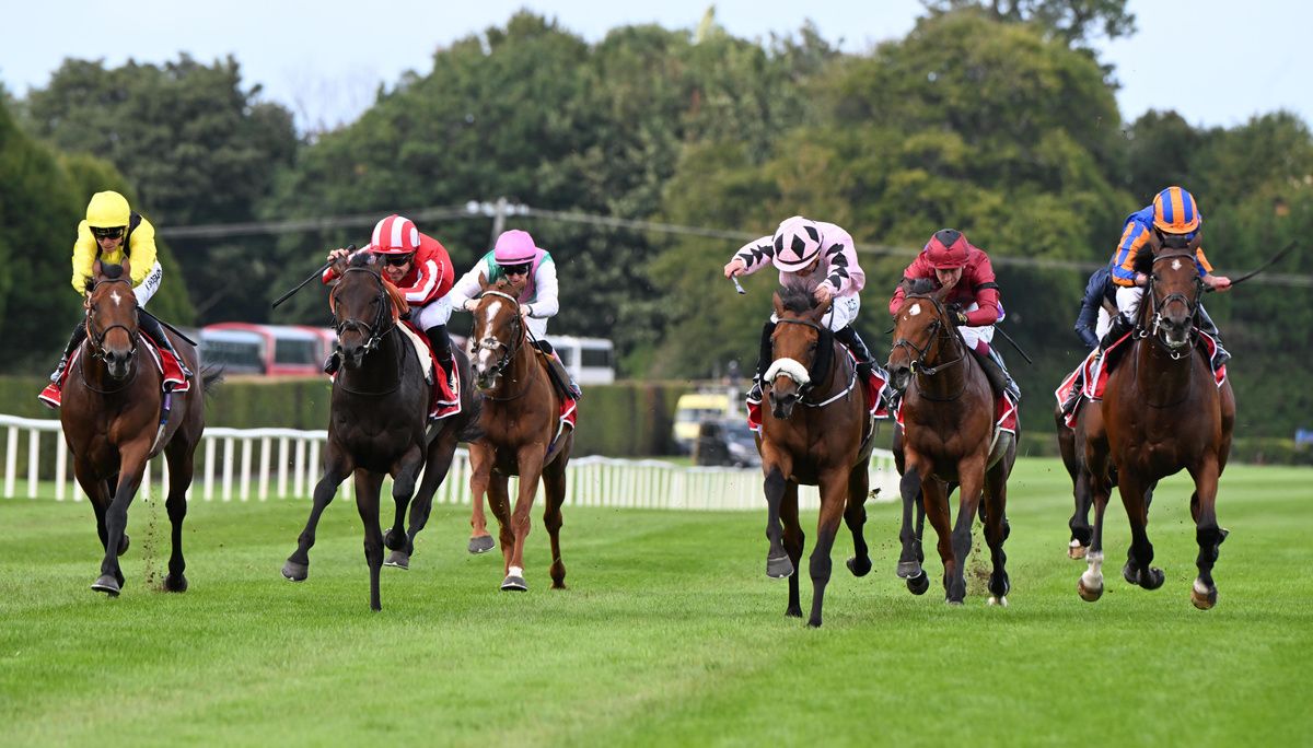 12 9 26 Leopardstown Hotazhell and Shane Foley win the Royal Bahrain Irish Champion Stakes Group 1 Healy Racing Photo