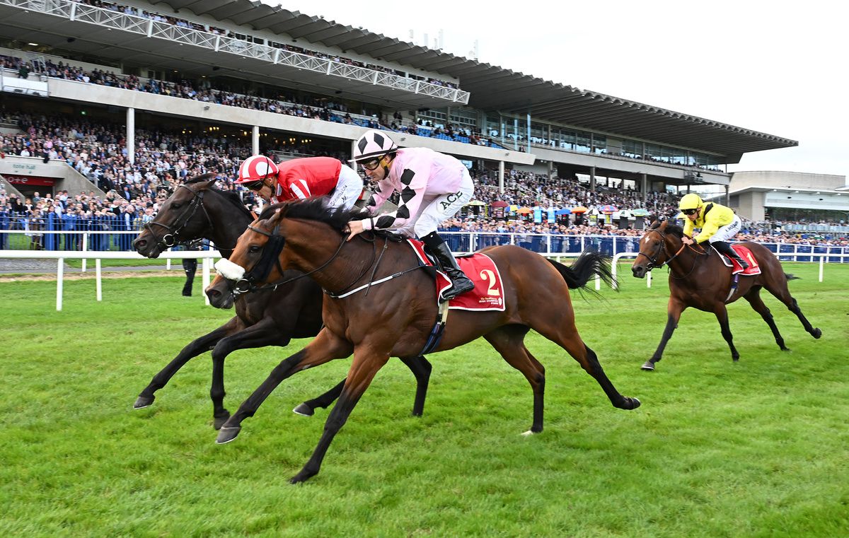 Leopardstown 12-September-2026Royal Bahrain Irish Champion Stakes (Group 1) Hotazhell and Shane Foley win from Wimbledon Hawkeye for owners Silverton Hill Partnership and trainer Jessica Harrington.Healy Racing