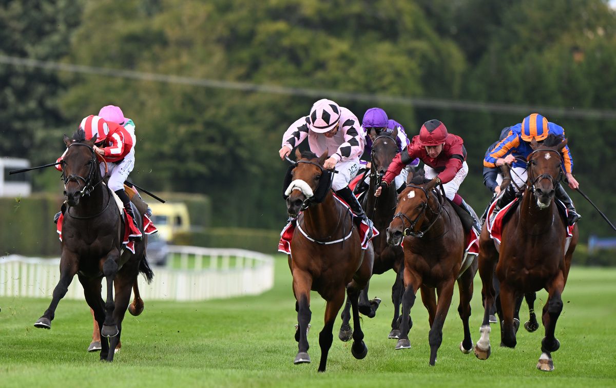 The finishing stages of the Irish Champion Stakes