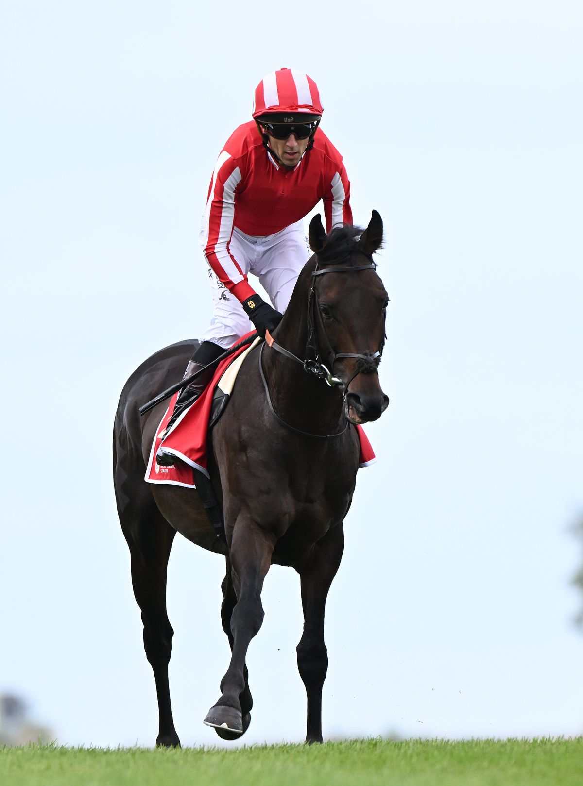 Wimbledon Hawkeye and Christophe Soumillon