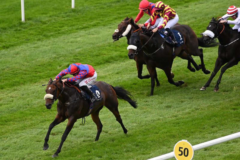 Coul Angel and Tom Marquand
