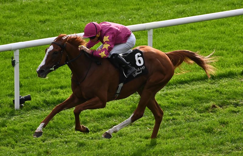 Thundering On and Ryan Moore
