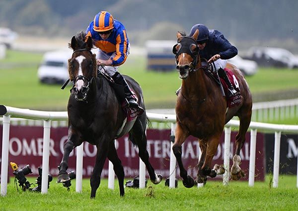 Scandinavia and Ryan Moore winning the Irish St Leger last month 