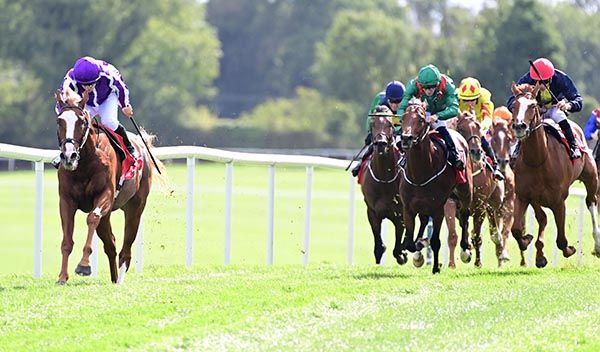 Noble Exhibit and Wayne Lordan 